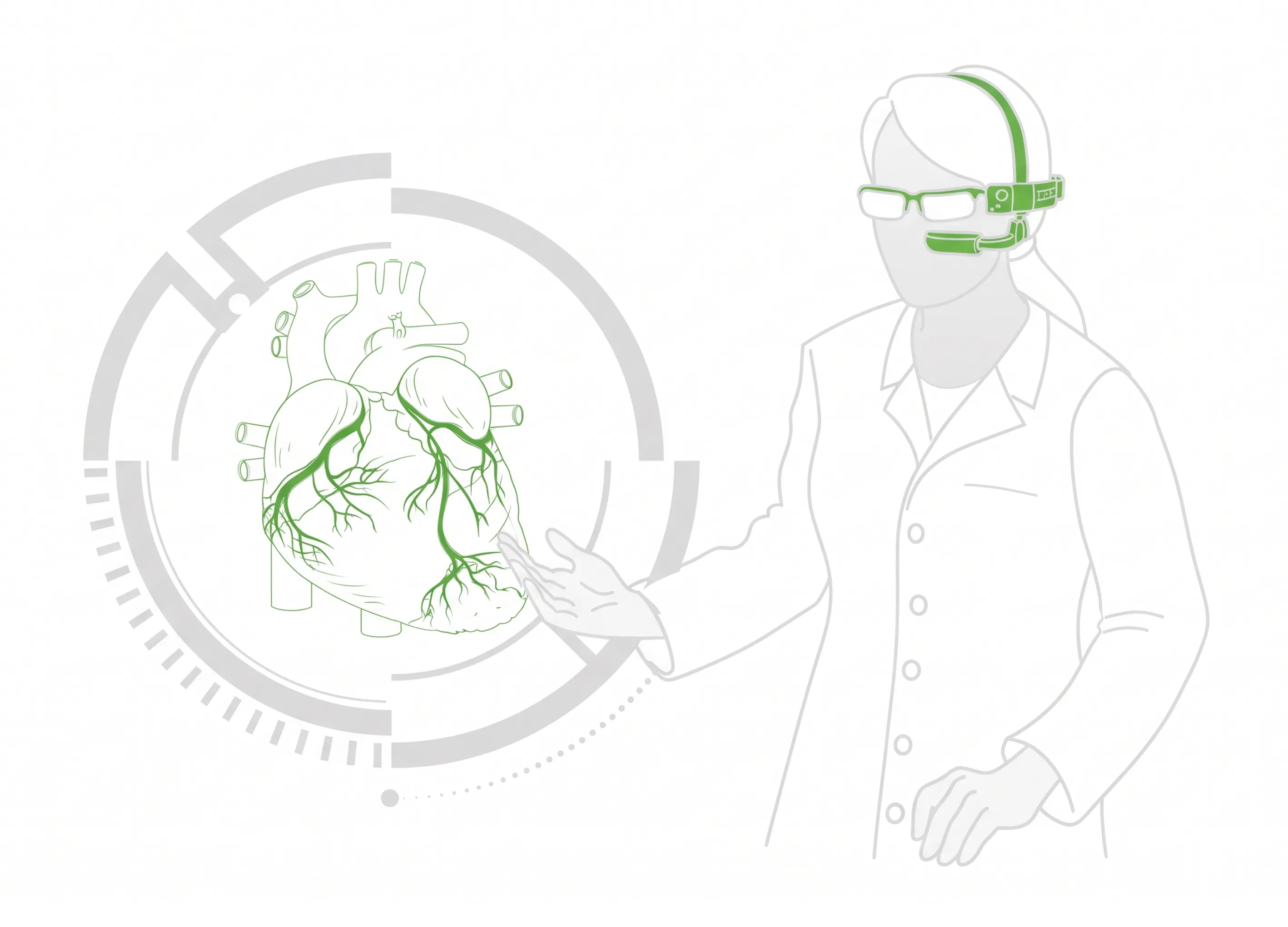 A VR representation of an human heart